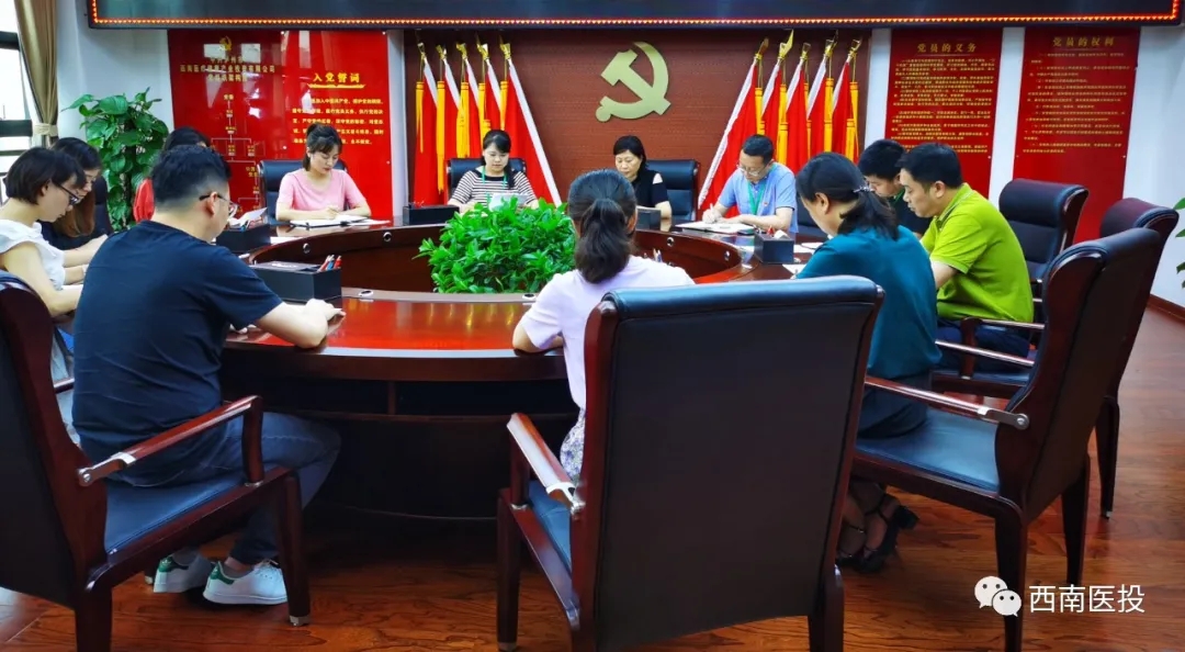 西南醫(yī)投集團(tuán)第二黨支部開展“逐夢起新航，習(xí)近平寄語青年”黨課活動